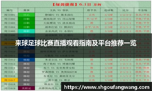 来球足球比赛直播观看指南及平台推荐一览