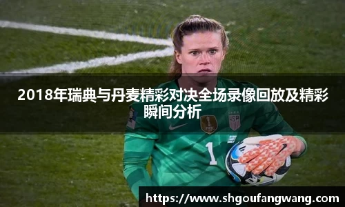 2018年瑞典与丹麦精彩对决全场录像回放及精彩瞬间分析