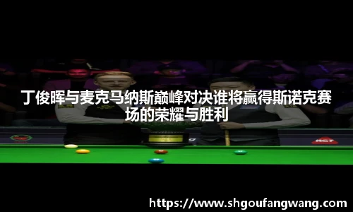xcsports手机下载